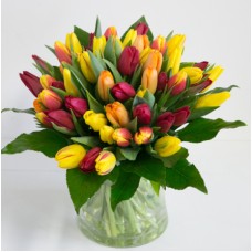 50 shades of sunshine - bouquet of tulips XL